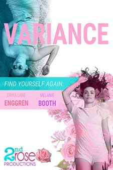 Variance (2021) afişi
