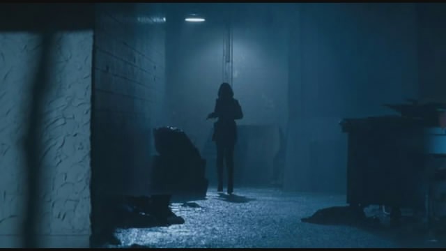 Ateş Çemberi Fotoğrafı