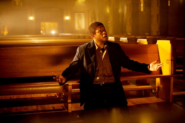 Pudra Mavisi Fotoğrafı