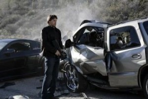 Kara Şimşek Fotoğrafı