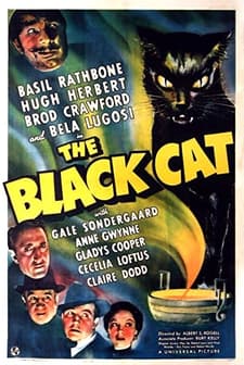 The Black Cat (1941) afişi
