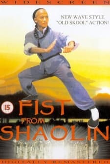 Shaolin Yumrukları (1993) afişi