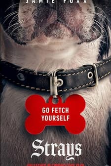 Strays (2023) afişi