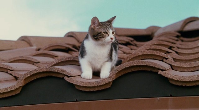 Kapımdaki Casus fotoğrafı