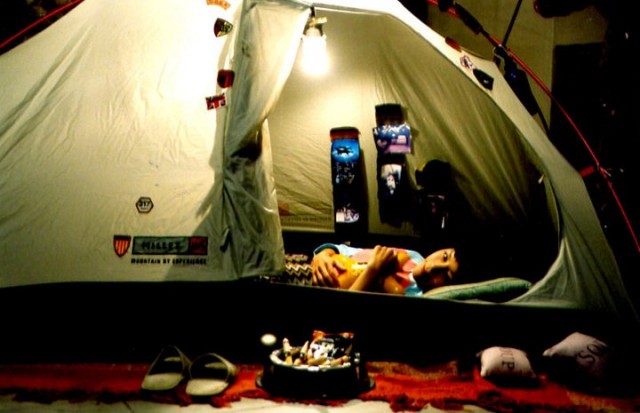 Daddy-long-legs Fotoğrafı