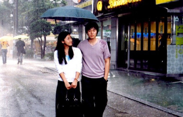 Daddy-long-legs Fotoğrafı