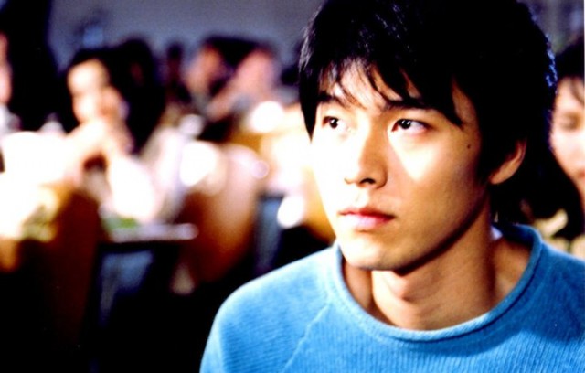 Daddy-long-legs Fotoğrafı