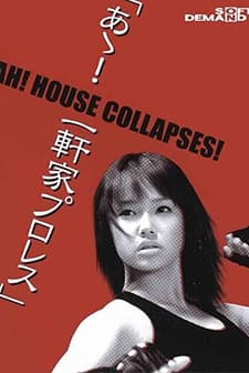 Ah! House Collapses! (2004) afişi