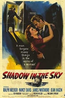 Çok Şüpheli İki Çocuk Kaçırma Hikâyesi (1952) afişi