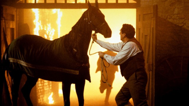 Siyah İnci Fotoğrafı