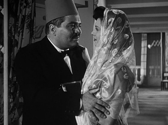 Toto Ev Arıyor Fotoğrafı