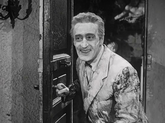 Toto Ev Arıyor Fotoğrafı