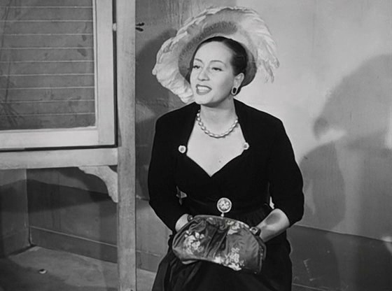 Toto Ev Arıyor Fotoğrafı