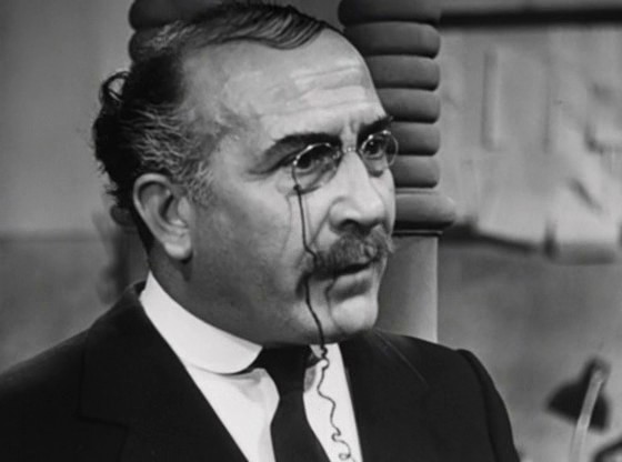 Toto Ev Arıyor Fotoğrafı