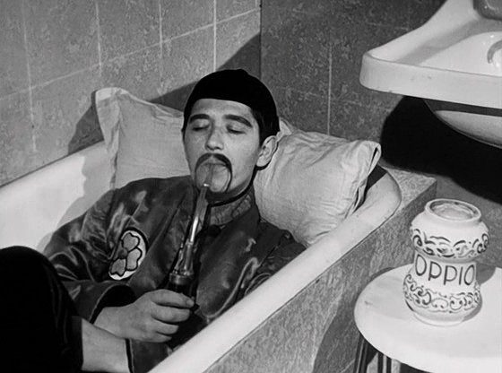 Toto Ev Arıyor Fotoğrafı