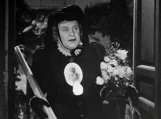 Toto Ev Arıyor fotoğrafı