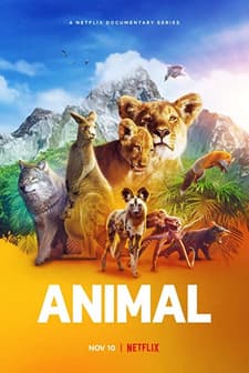 Animal (2021) afişi