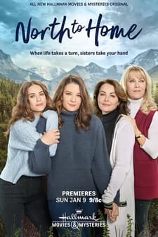 North to Home (2022) afişi