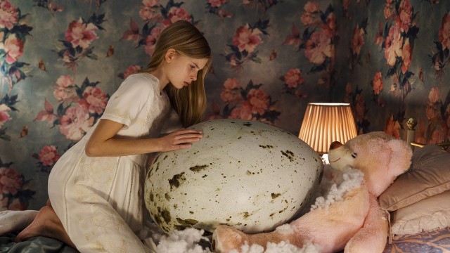 Kuluçka Fotoğrafı