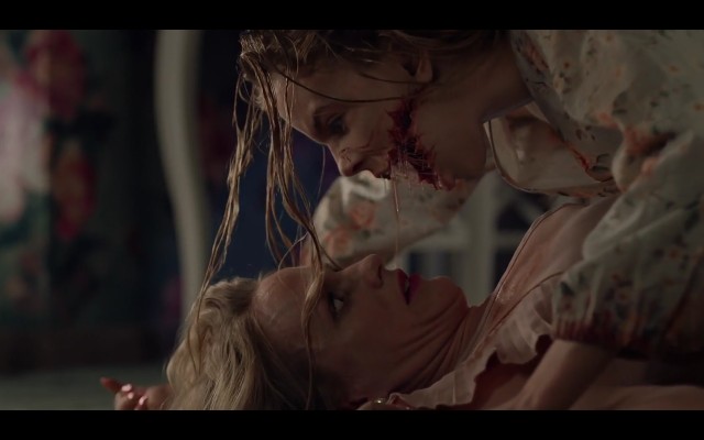 Kuluçka fotoğrafı