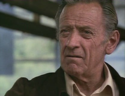 The Earthling fotoğrafı