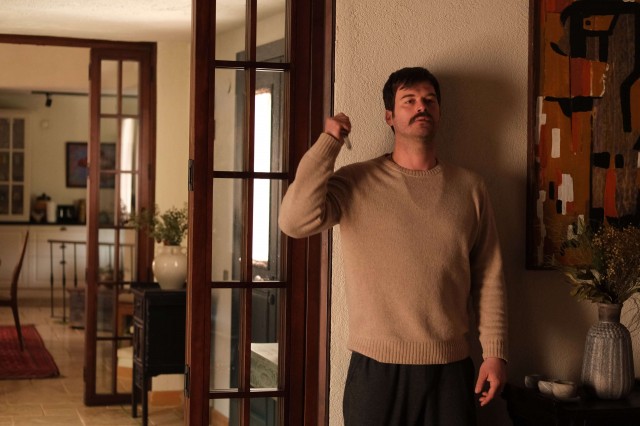 Boğa Boğa Fotoğrafı