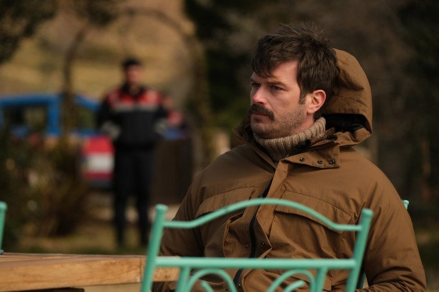 Boğa Boğa Fotoğrafı