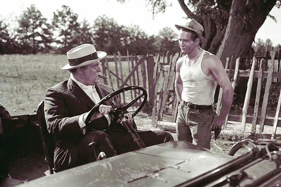 Uzun, Sıcak Yaz fotoğrafı