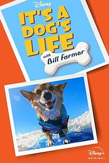 It’s a Dog’s Life (2020) afişi