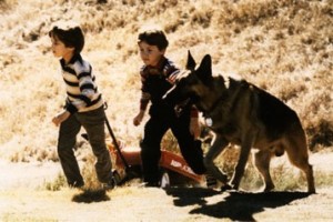 Radio Flyer fotoğrafı