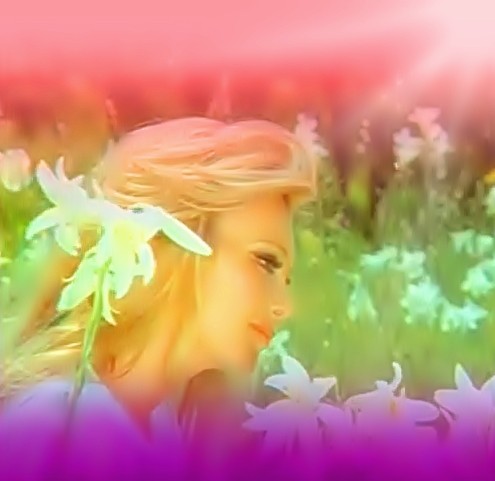 Zambaklar Açarken Fotoğrafı