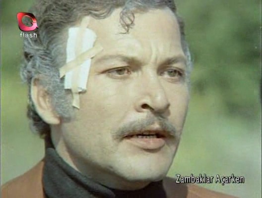 Zambaklar Açarken Fotoğrafı