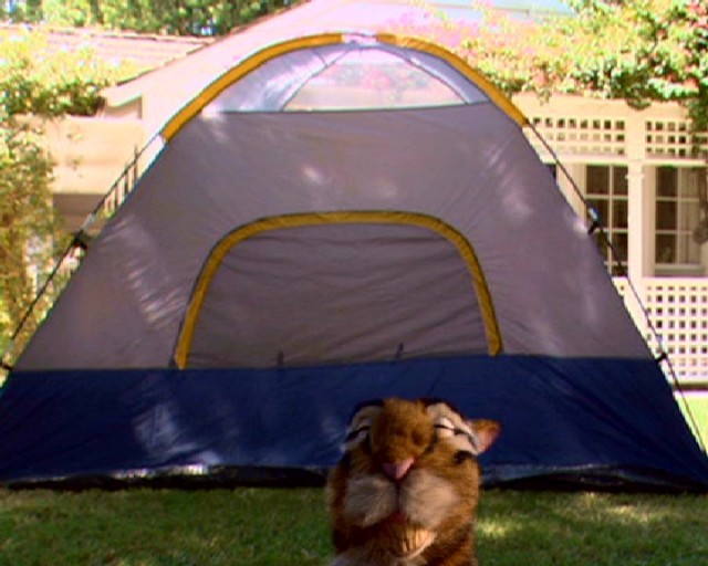 The Last Day Of Summer Fotoğrafı