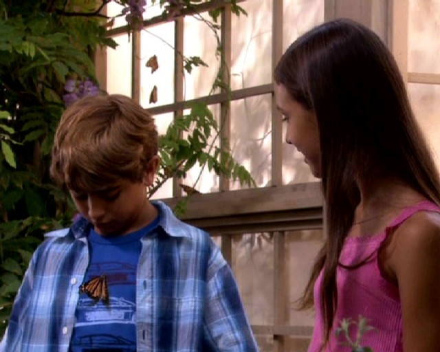 The Last Day Of Summer Fotoğrafı