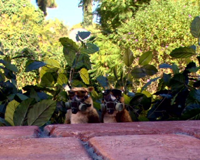 The Last Day Of Summer Fotoğrafı