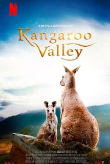 Kanguru Vadisi (2022) afişi