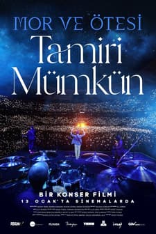 Tamiri Mümkün (2023) afişi