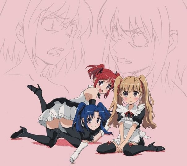Toradora! Fotoğrafı