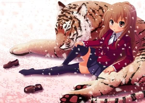 Toradora! Fotoğrafı