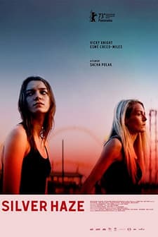 Silver Haze (2023) afişi