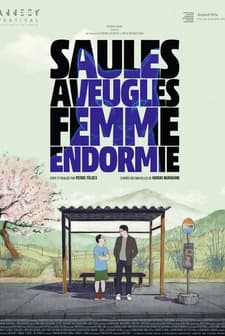 Saules aveugles, femme endormie (2022) afişi