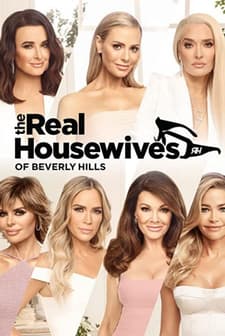 The Real Housewives of Beverly Hills (2010) afişi