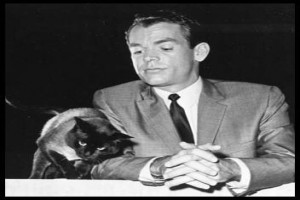 Ah Şu Kedi fotoğrafı