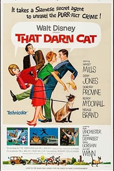 Ah Şu Kedi (1965) afişi