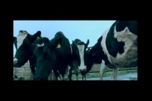 Karantina fotoğrafı