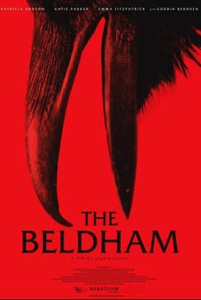 Kocakarı (2025) afişi