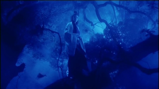 Swordsman II Fotoğrafı