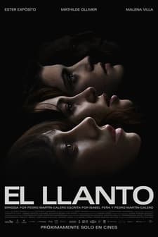 The Wailing (2024) afişi