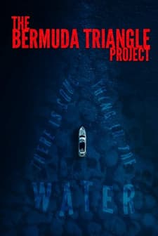 The Bermuda Triangle Project (2023) afişi