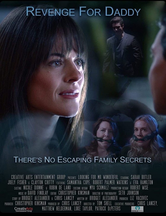 Bay Mükemmelin Peşinde (2020) afişi